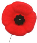 poppy-pin